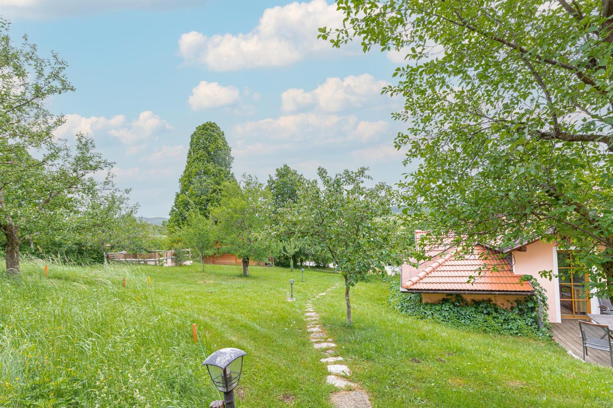 House Na Meji With Sauna - Happy Rentals Pivka Zewnętrze zdjęcie
